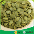 Shine skin pumpkin seeds kernel grade AA with 2016 new crop